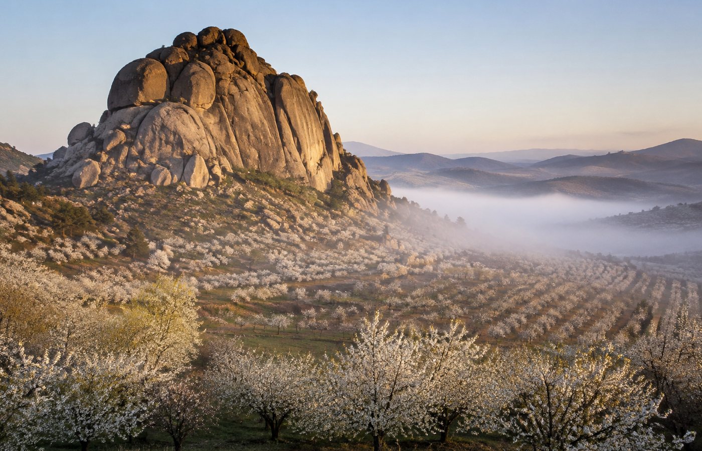Afloramento de granito acima do pomar em flor, com nevoeiro baixo no vale